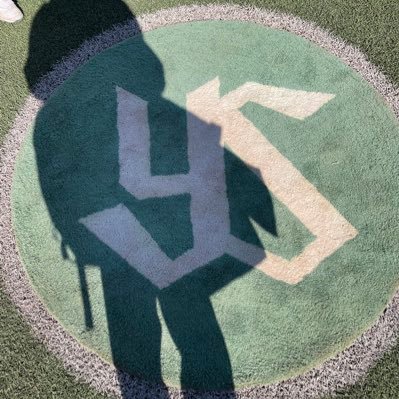 Yowallows's profile picture. 野球情報収集専用アカ ちなヤク