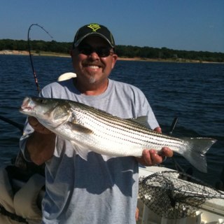 trailmaster53's profile picture. 