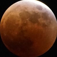 まこちー (@makochiee) 's Twitter Profile