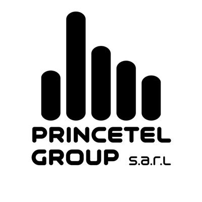 Prince Tel Group