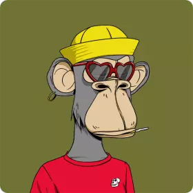 kibetrottich's profile picture. I shuffle my cards well