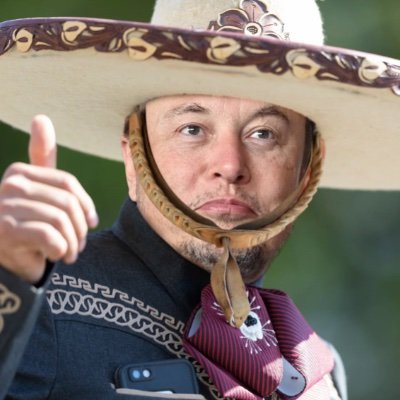Mexican Elon Musk (parody account)