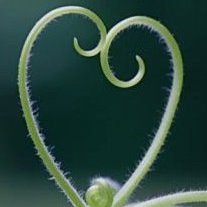 DianaRosen11's profile picture. 