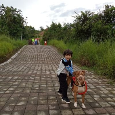 NestoralonsoTa2's profile picture. 