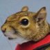 squirrel gyatt (@squirreljet) Twitter profile photo squirrel gyatt (@squirreljet) Twitter profile photo