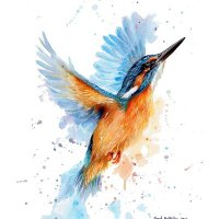 Kingfisher(@king87fisher) 's Twitter Profile Photo