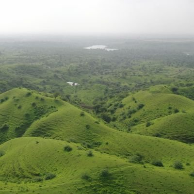 🌱🌳🌱 ગ્રીન સોલ્જર🐾🐯🐾