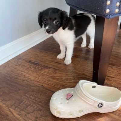 SoIcy33's profile picture. 