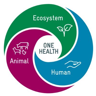 We are two GIZ health projects promoting the #OneHealth approach in international cooperation with #LMICs. Imprint: https://t.co/07dajc7Cuw