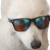 P1xel (@p1xel_fps) Twitter profile photo P1xel (@p1xel_fps) Twitter profile photo