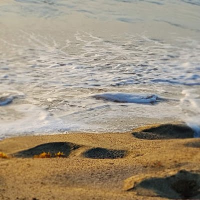 868Champ's profile picture. 