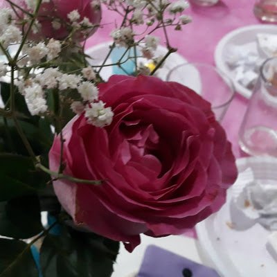 SteinRita2022's profile picture. 