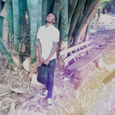 mathei_peter's profile picture. 