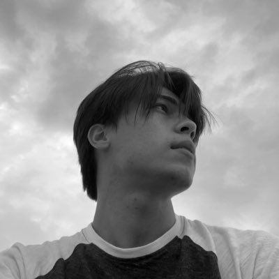 hi, im a human. Twitter is my bullshit area, don't trust me here