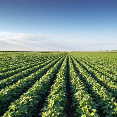 Executive Recruiter - Agriculture, Clean Tech, AgTech & Food Tech