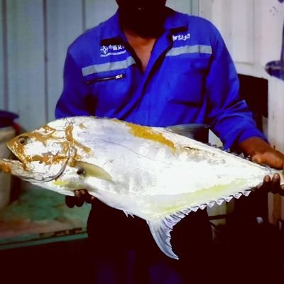 hello frend i am fishman
👉👉👉https://t.co/DFtYIevAhg👌👌👌😍😍😍
