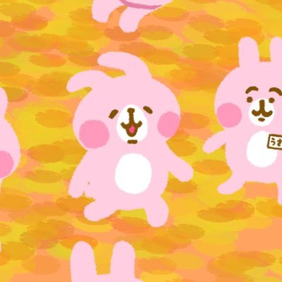 きんぐさんのプロフィール画像