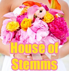 HouseOfStemms's profile picture. House of Stemms is a local florist in San Diego CA offering award winning floral designs for weddings and all occasions.