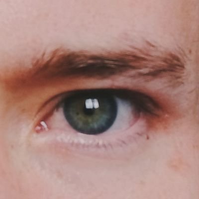 Fernand30018361's profile picture. .