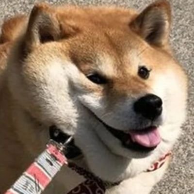 WhatJHammer's profile picture. Mleh