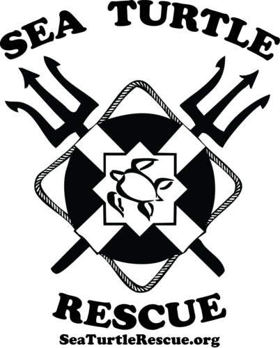 SeaTurtleRescue's profile picture. Saving endangered sea turtles from extinction, one at a time.