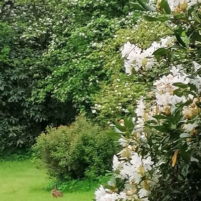 // Plant new seeds in a melody × Keep your head up, love × Get your shit together so I can love you @ me /
*FAN ACCOUNT*
// mid twenties she/her //