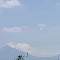 Teman Hidupmu (@tapibohongdeng) 's Twitter Profile
