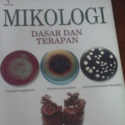 Trid3470D's profile picture. 