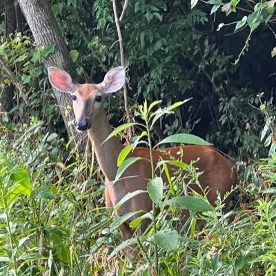 John6225's profile picture. music lover, bicycle enthusiast, small business owner, grandpa, husband, student of life, animal advocate, George Carlin fan and much more