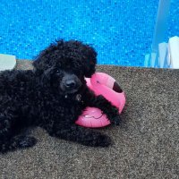 Arlene Hall (@arleneh02053554) 's Twitter Profile