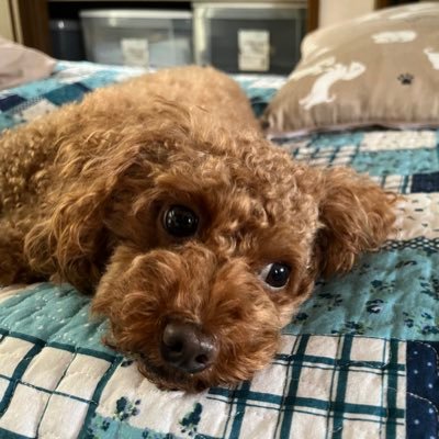 F1NE1230's profile picture. 