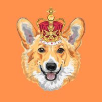 Corgi Lover(@corgifanss) 's Twitter Profileg