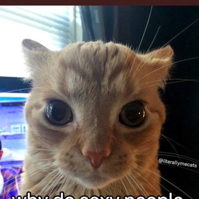 CaydenCarey's profile picture. Delivering deez nuts to your door😌