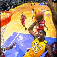 A.C. Green (@nba_ironman) 's Twitter Profile