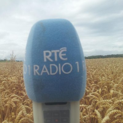 2022 IMRO Radio Awards Gold Winner. RTE Radio 1 programme presented by Philip Boucher-Hayes. Saturday morning 8.10am. Email: countrywide@rte.ie