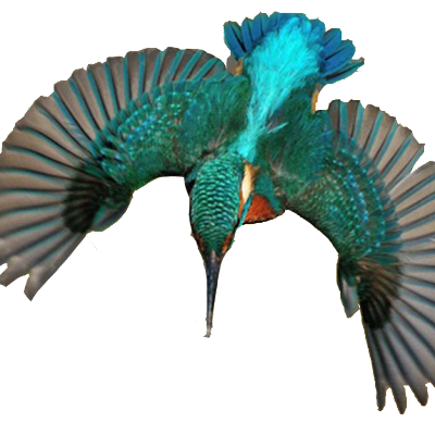 alldesign16's profile picture. 