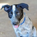 Robert Durrett - @Sundance1081 - Twitter