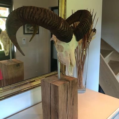 Daniell09964805's profile picture. I am social.I'm open.