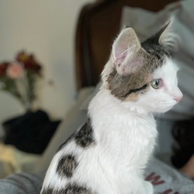 henry_geraci's profile picture. 