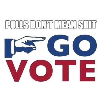 #VOTEBLUETOSAVEDEMOCRACY
#postcardstovoters📬 #Bluewave💯#RESISTER
#votebluein2022 #votevets #womensrights♀ #guncontrol🌊No DMs
#votestraightblue💙