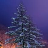 ‘Could Christmas be saved by a boy named Ben?’ Debut novel of Dominic Devine - the Emmy-nominated supervising art director of Bridgerton.
