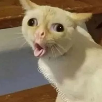 delivertheseed's profile picture. 