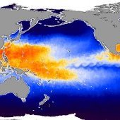 DavidDansker's profile picture. ⚡ I Am The Fuselage ⚡ Website: https://t.co/pNA1fBx1oI