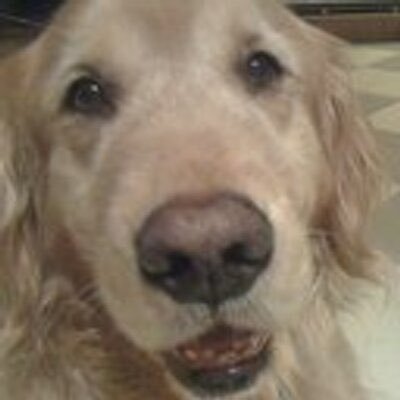 kasualt's profile picture.