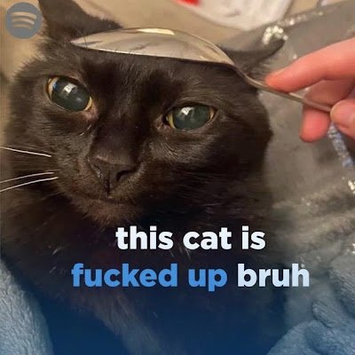 silliestreckon's profile picture. awesomeness awesome man (I won’t post anything)