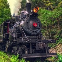 TimberPen (@needananon) 's Twitter Profile Photo TimberPen (@needananon) 's Twitter Profile Photo