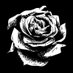 WILTING (@wilting_band) Twitter profile photo WILTING (@wilting_band) Twitter profile photo
