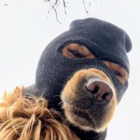 eyelpi (@eyelpi) Twitter profile photo