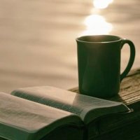 هاجر (@zva_lk) Twitter profile photo