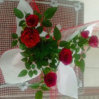 hakan (@hakan65867207) Twitter profile photo